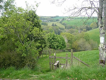 Photo Gallery Image - The path across fields to the hamlet of Mixtow